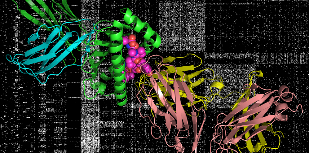 RNA biology